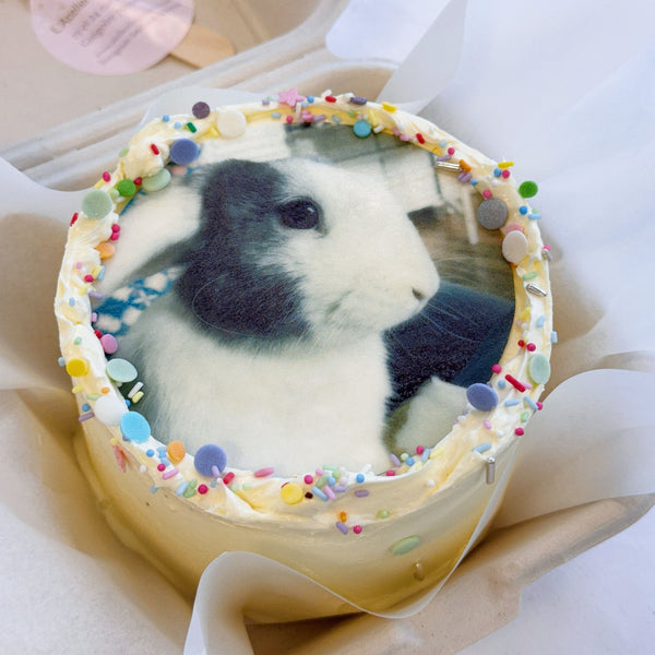 BENTO CAKE PHOTO atelierdesgateaux.com 